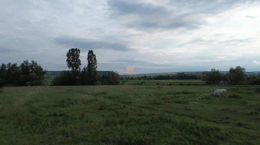 Teren 3953 mp Falticeni Tarna Mare De Vanzare 0727817187 - 9