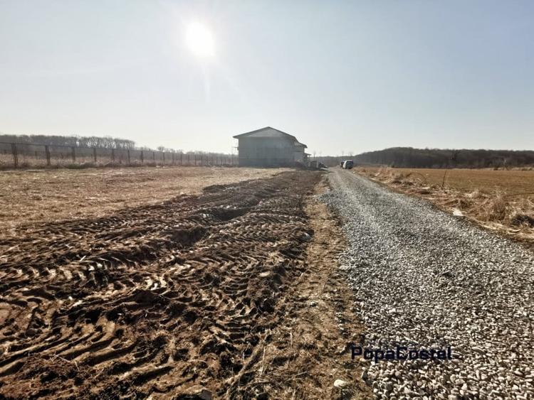 Silistea Snagovului teren intravilan 900 mp + 100 mp drum servitute - 2