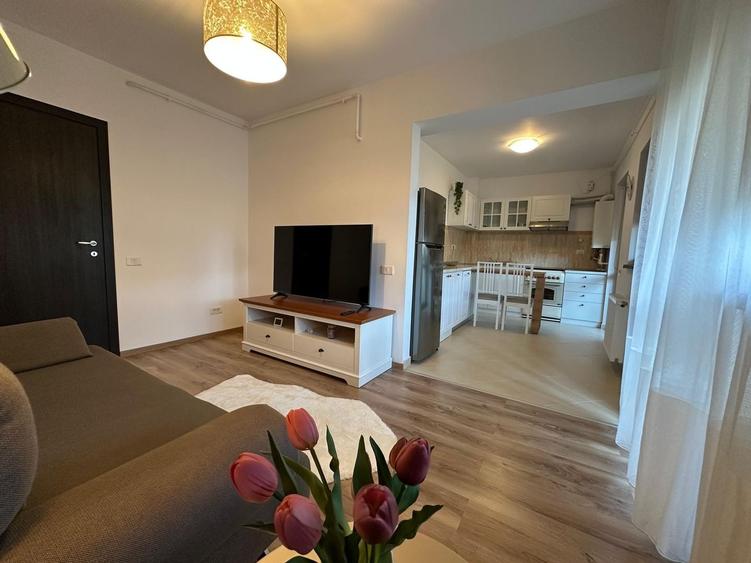 Apartament 2 camere Metalurgiei Brown Residence | loc parcare | - 2