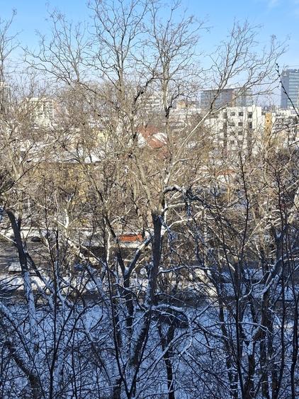 Ion Mihalache, Hotel Samaa - 9