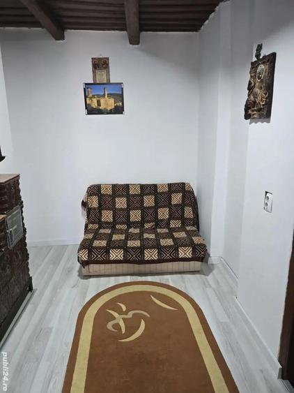 de vanzare casa la tara - 10