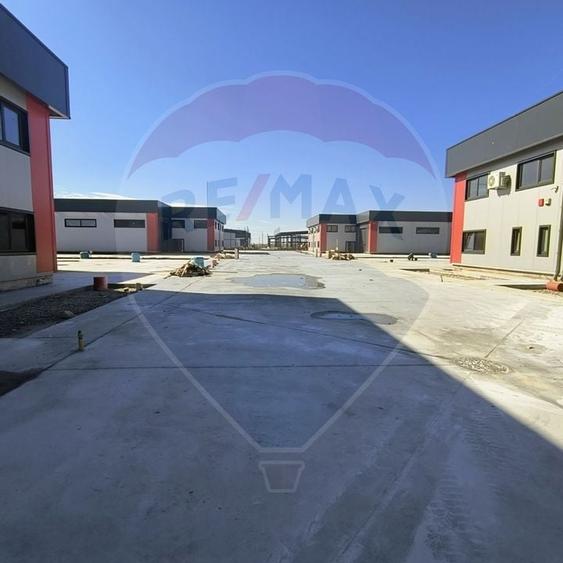 Hale noi de inchiriat Domnesti - putere instalata pana la 600kva - 19