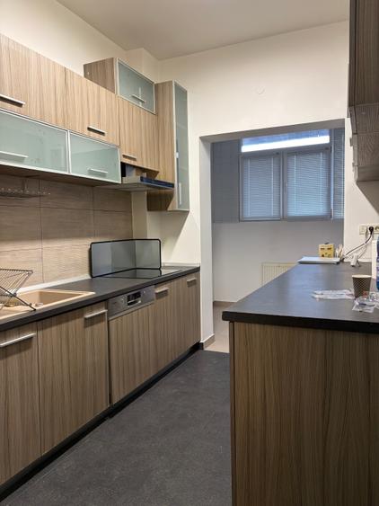 Parcul Carol - parter de bloc, curte, acces separat, centrala proprie - 6