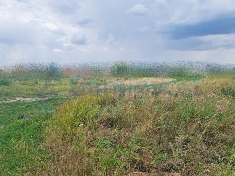 Teren intravilan pentru constructii si investitii de vanzare, Osorhei, Bihor - 2