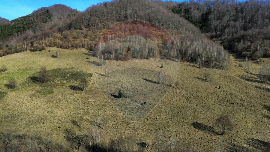 Teren agricol extravilan de 16466 mp, în Mara