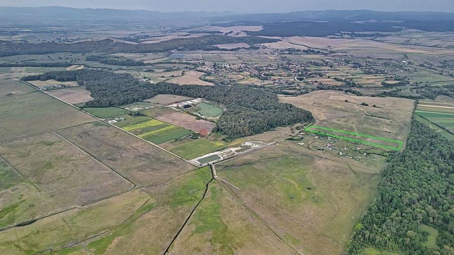 Teren Extravilan - 6