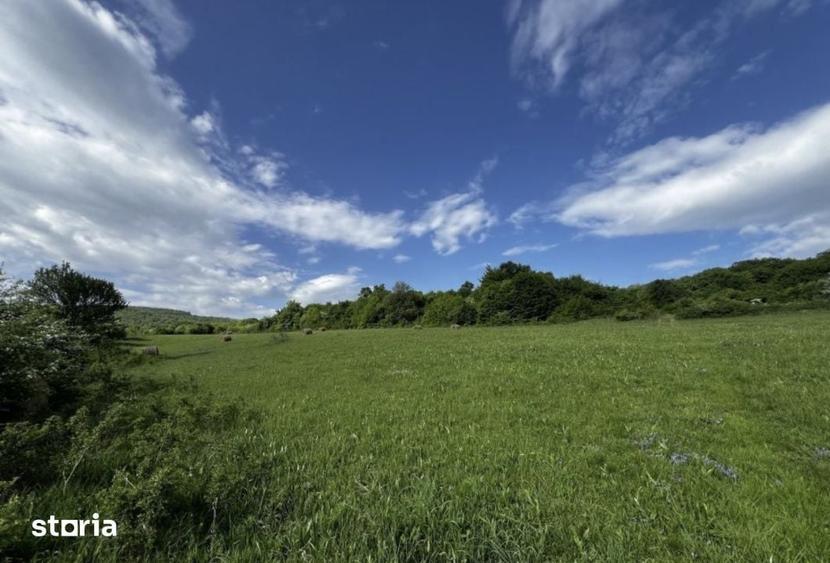 Teren intravilan, 4300 mp, zona Valea Garbaului - 1