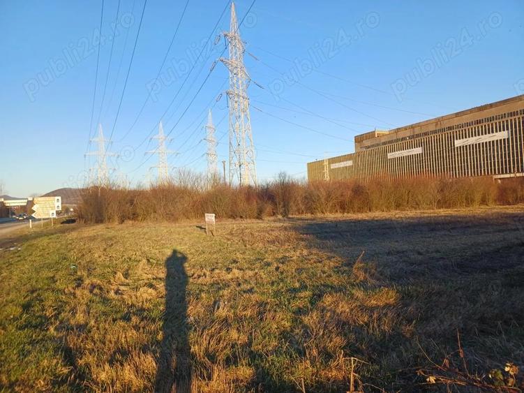 Teren de inchiriat - 4