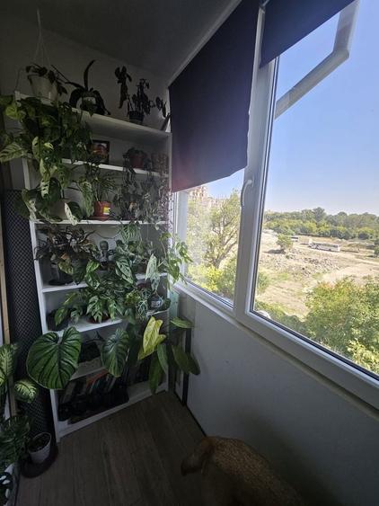 Apartment Circumvalatiunii - 2