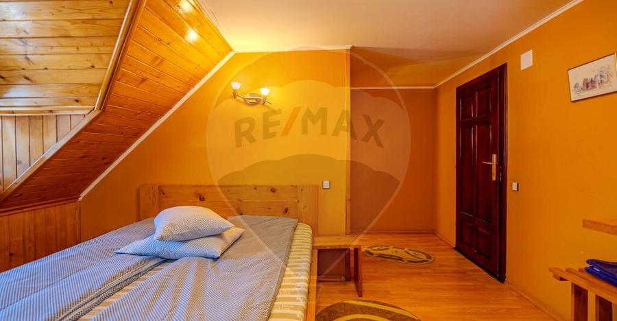 VILA SCANDINAVIA / Pensiune / Moieciu de Sus - 21