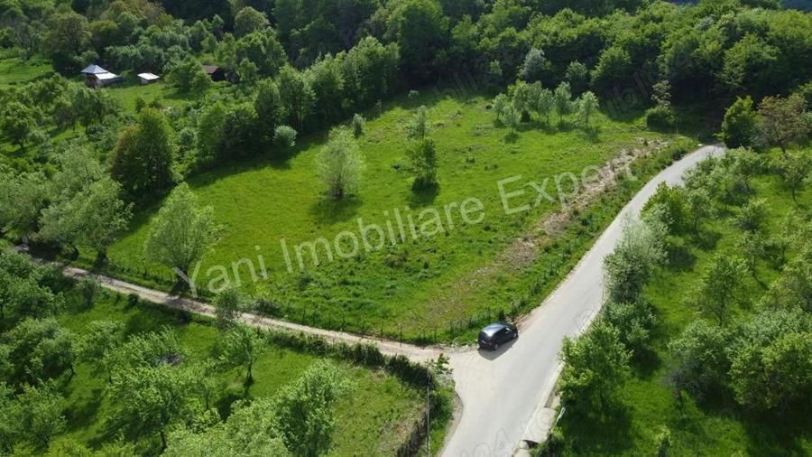 Teren de vanzare in comuna Corbi, jude? Arge?. - 11