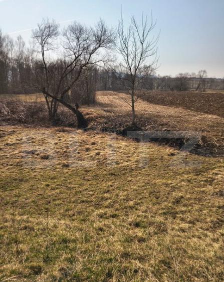 Teren extravilan de vanzare, 40 ARI, zona Racsa - 3