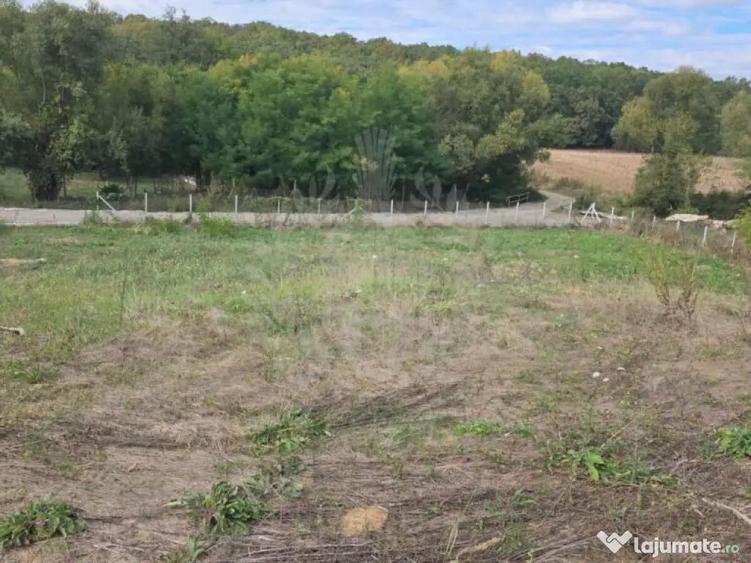 TEREN INTRAVILAN//COM. PLOPU//1300//2700 MP - 3