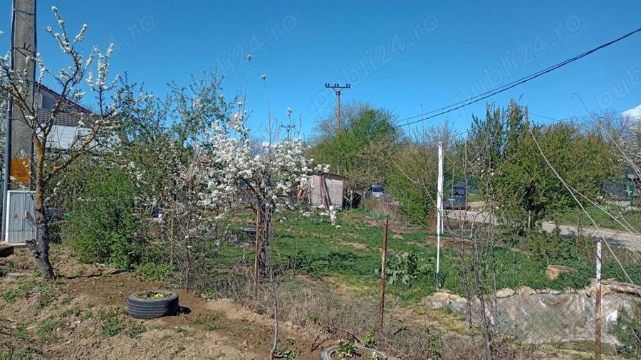 Casu?a cu teren , Ciolpani - Piscu - 7