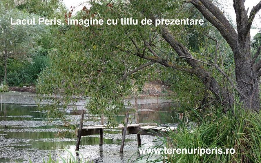 Teren Peris 500mp IN RATE 500 teren langa Ciolpani, Izvorani - 4