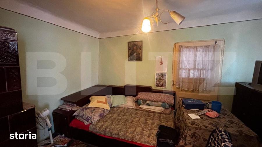 Proprietate cu 2 case, 3.345 mp teren, Balota de Jos, comuna Murgasi - 9