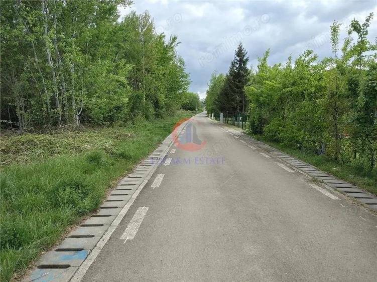 Parcele Teren Lacul Surduc Fardea - 2