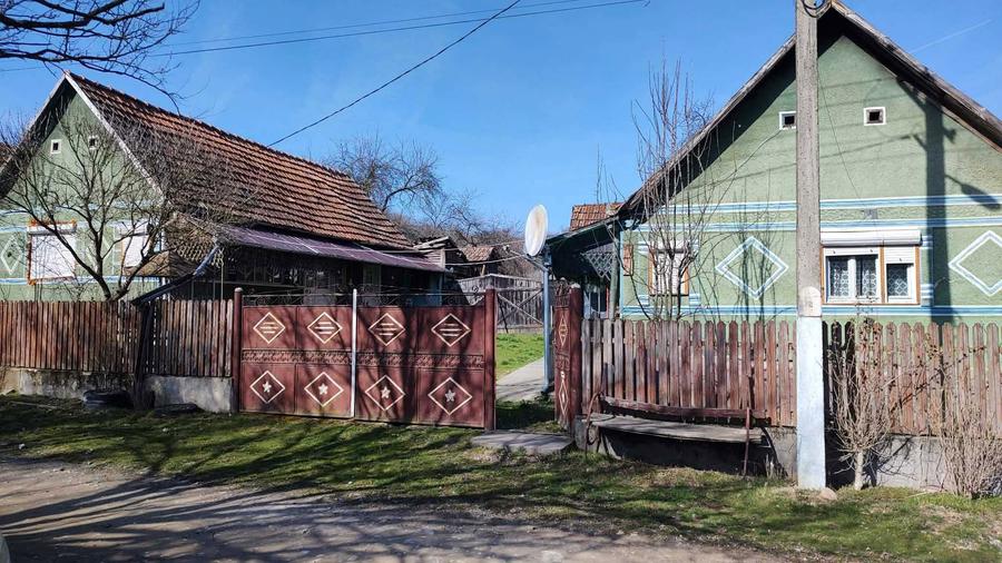 Casa de vanzare cu teren generos - 1