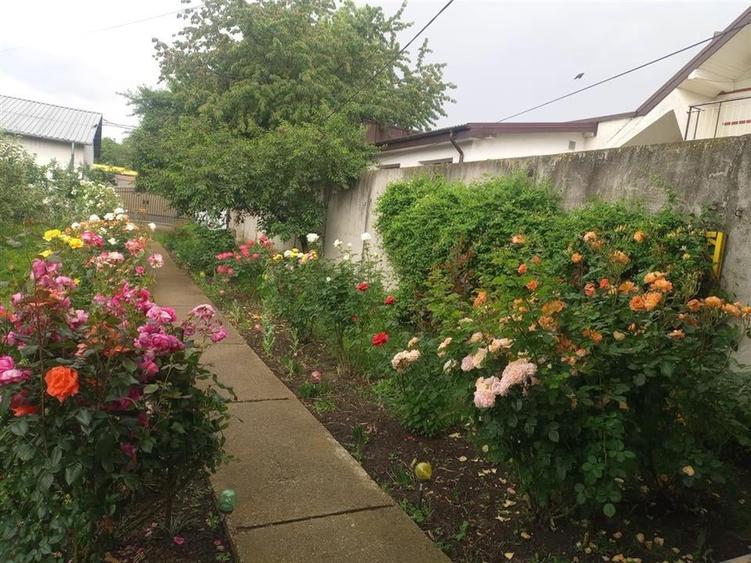 Bacau ,  Vila, la 5 minute de Centrul Orasului - 6