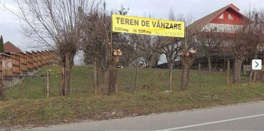 Teren de vanzare 2400 mp, Campulung, Arges - 1
