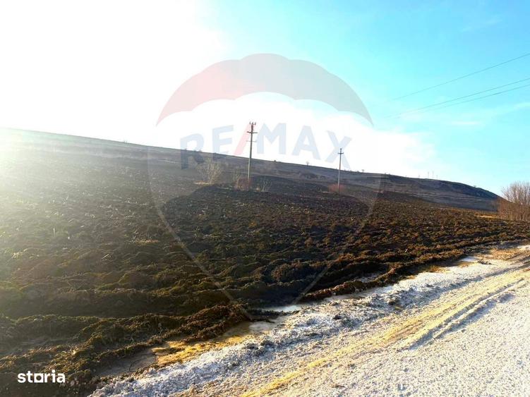 Teren 4.956mp Letea Veche / Calea BARLADULUI - 10