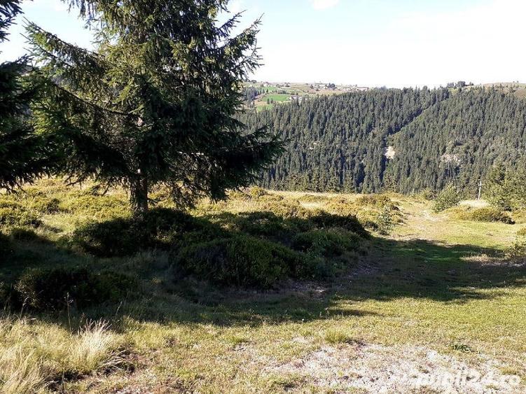 Teren de 6000 mp, în Măguri