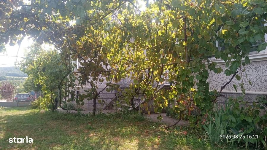 Casă cu 4 camere cu Teren 2200 Mp în Șieu