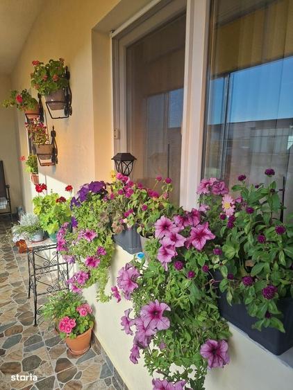 Apartament cu 4 camere în Micălaca