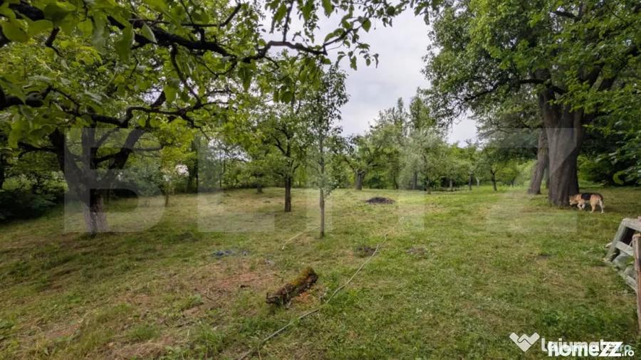 Casă cu 3 camere cu Teren 3266 Mp în Malu cu Flori