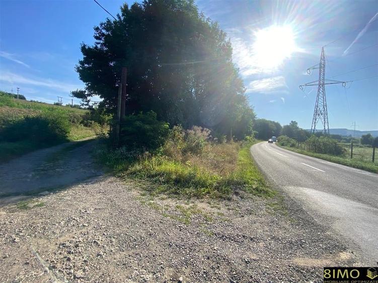 Teren 2000mp cu hala - 1