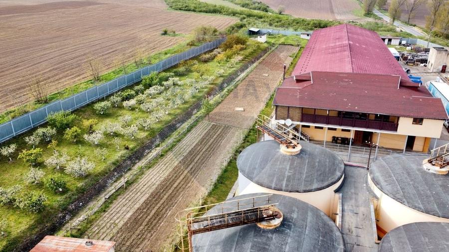 Crama Buciumeni - 12