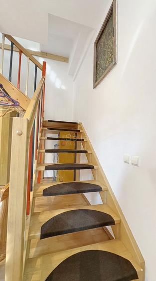 Priveliste Spre Tampa - 5