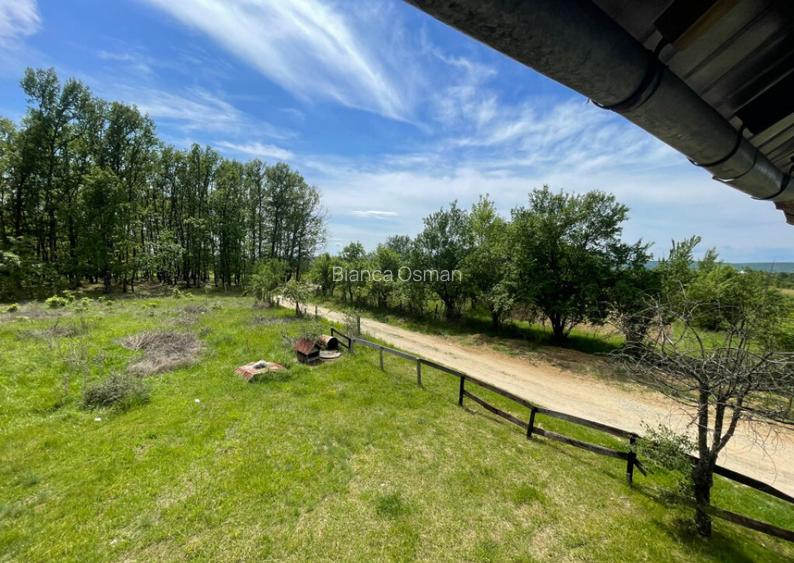 Teren *oportunitate investi?ie* Carbune?ti-Sat, la DN 67B