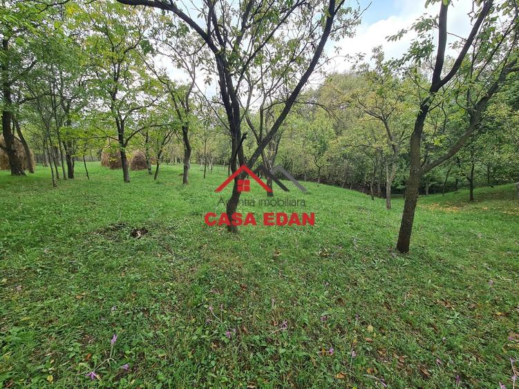 Teren intravilan in Sotrile--5991mp--10e - 7