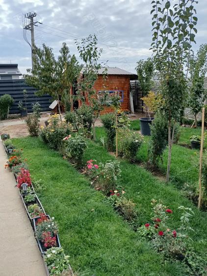 Casa de vanzare Magnolia - 9