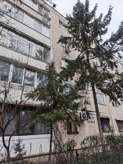 Apartament 3 camere - 8
