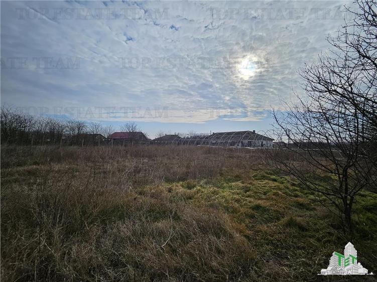 Teren intravilan Harsova - 5