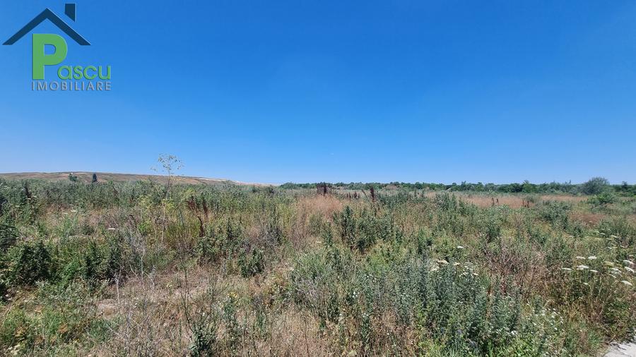 Teren Drum la Chiajna, sector 6, 11.350 mp, D 33 ml - 4