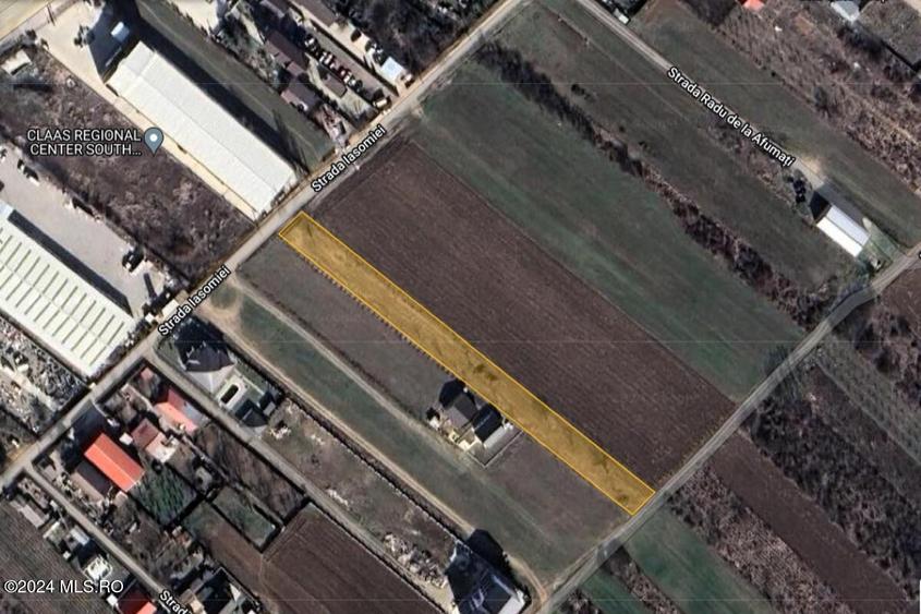 Afumati - Str. Iasomiei, 2409 MP, stradal, intravilan, deschidere 12 ml! - 7