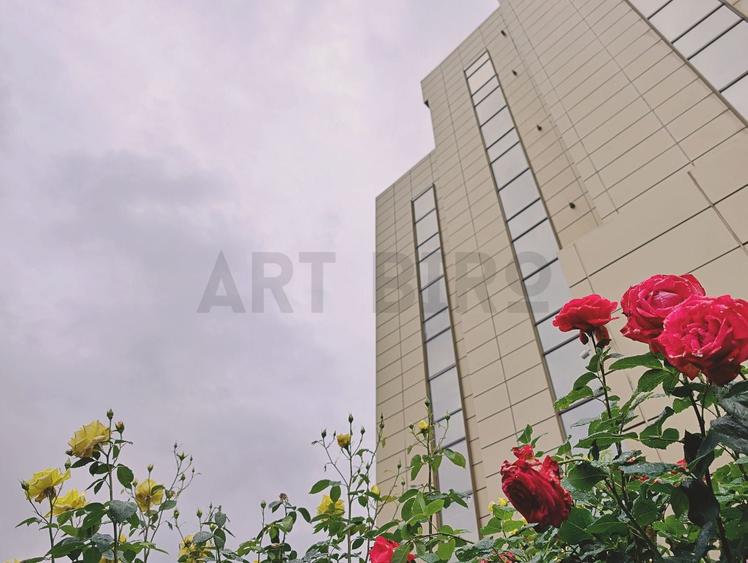 Zero comision, 190mp birou, 2 parcari incluse, Grozavesti, 5' metrou - 1