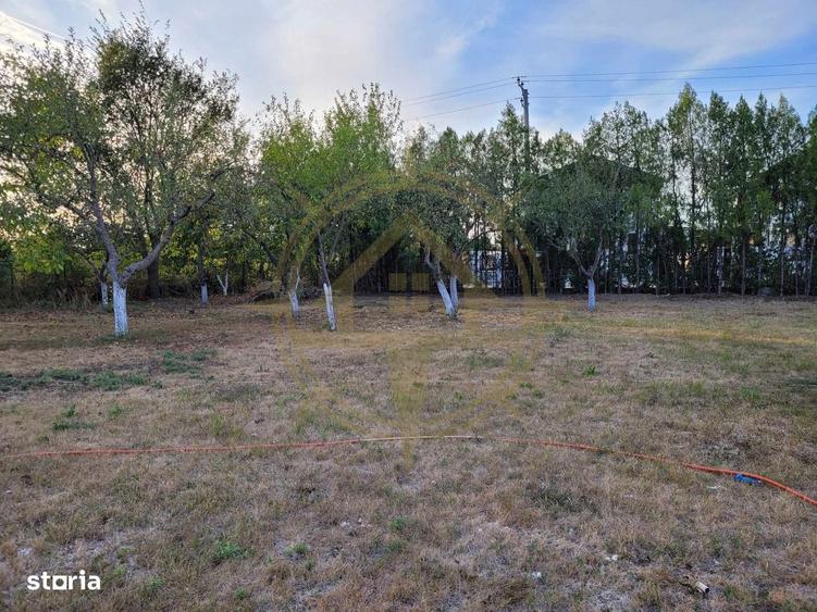 Dom00438 - de vanzare teren intravilan 1000 mp. corbeanca - 4
