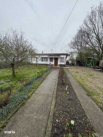 Casa 2 camere | Vucova | 1449 mp teren - 10