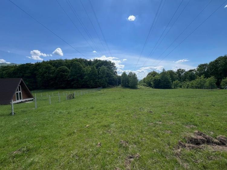 Teren Galaoaia - de vanzare - 1