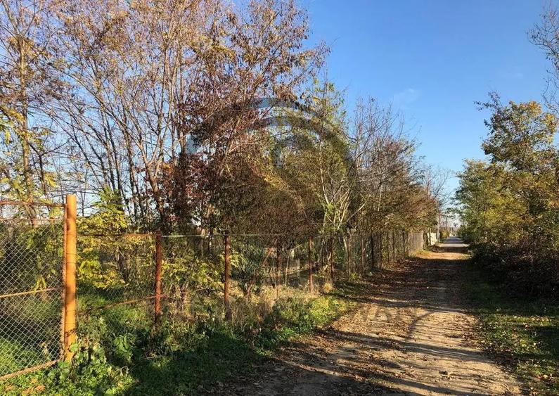 Teren intravilan de vanzare | 12.650 mp | Ghirdoveni, | C... - 8