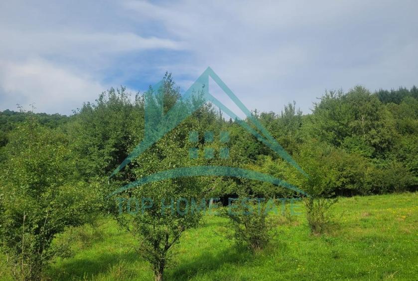 Teren pentru cabana/pensiune zona Lac Micesti! - 5