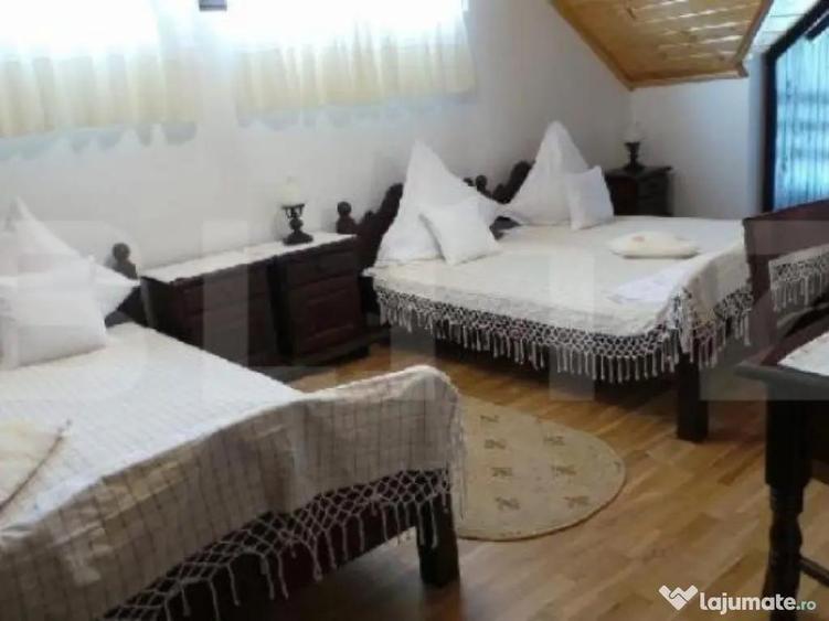 Pensiune la cheie, Mun?ii Apuseni, zona Arie?eni - 10