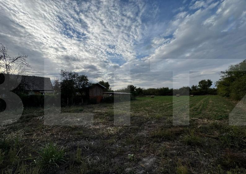 Casa 4 camere cu teren de 3892 mp - 11