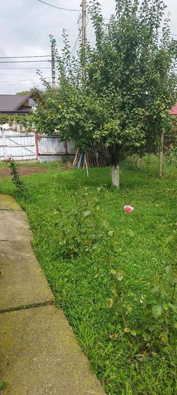 Vand casa + anexe si gradina - 9