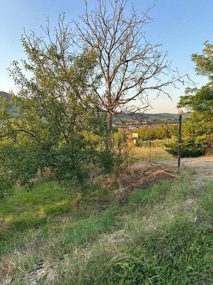 Teren intravilan 1.000 mp loca?ie deosebita, priveli?te ?i lini?te Simleu Silvaniei - 1