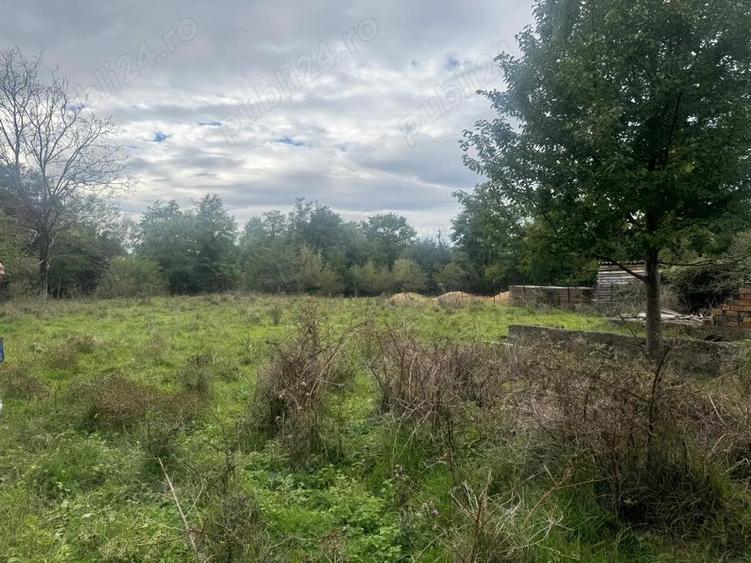 Casa de vanzare in Budureasa - 4